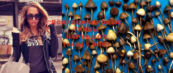 круглые Алексин